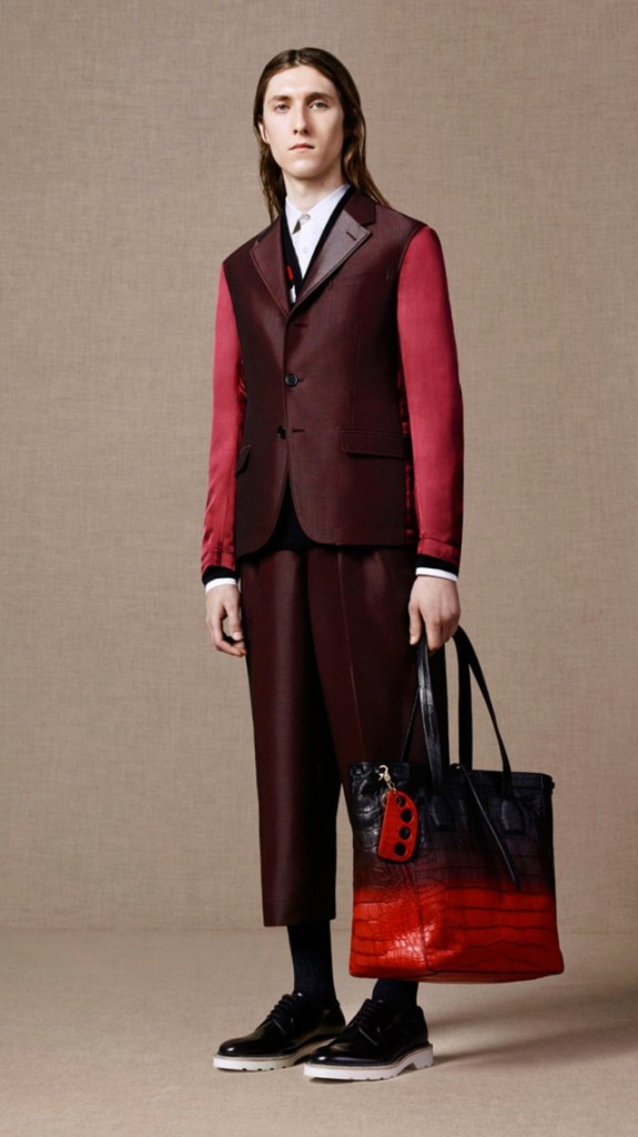 Alexander-McQueen-Pre-Spring-2016 (19)