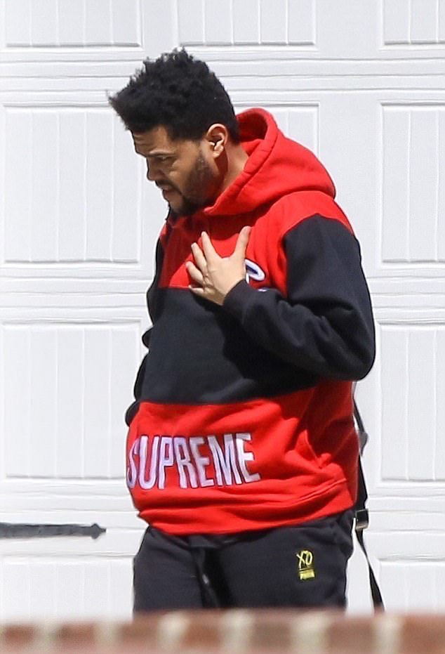 SPOTTED: The Weeknd in Champion x Supreme Hoodie and Puma x XO Pants