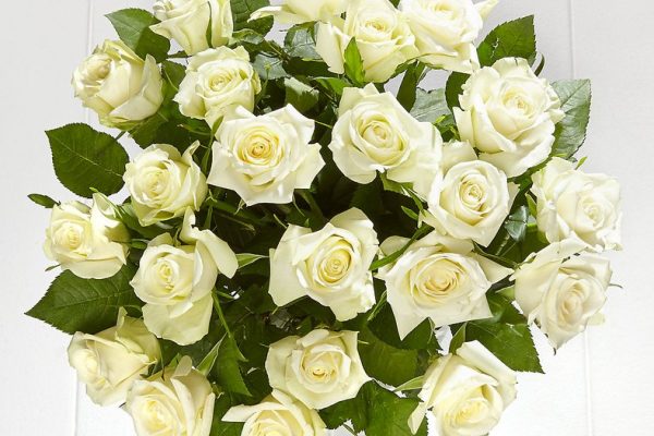 Marks-Spencer-Fairtrade-White-Roses-25-plus-free-delivery