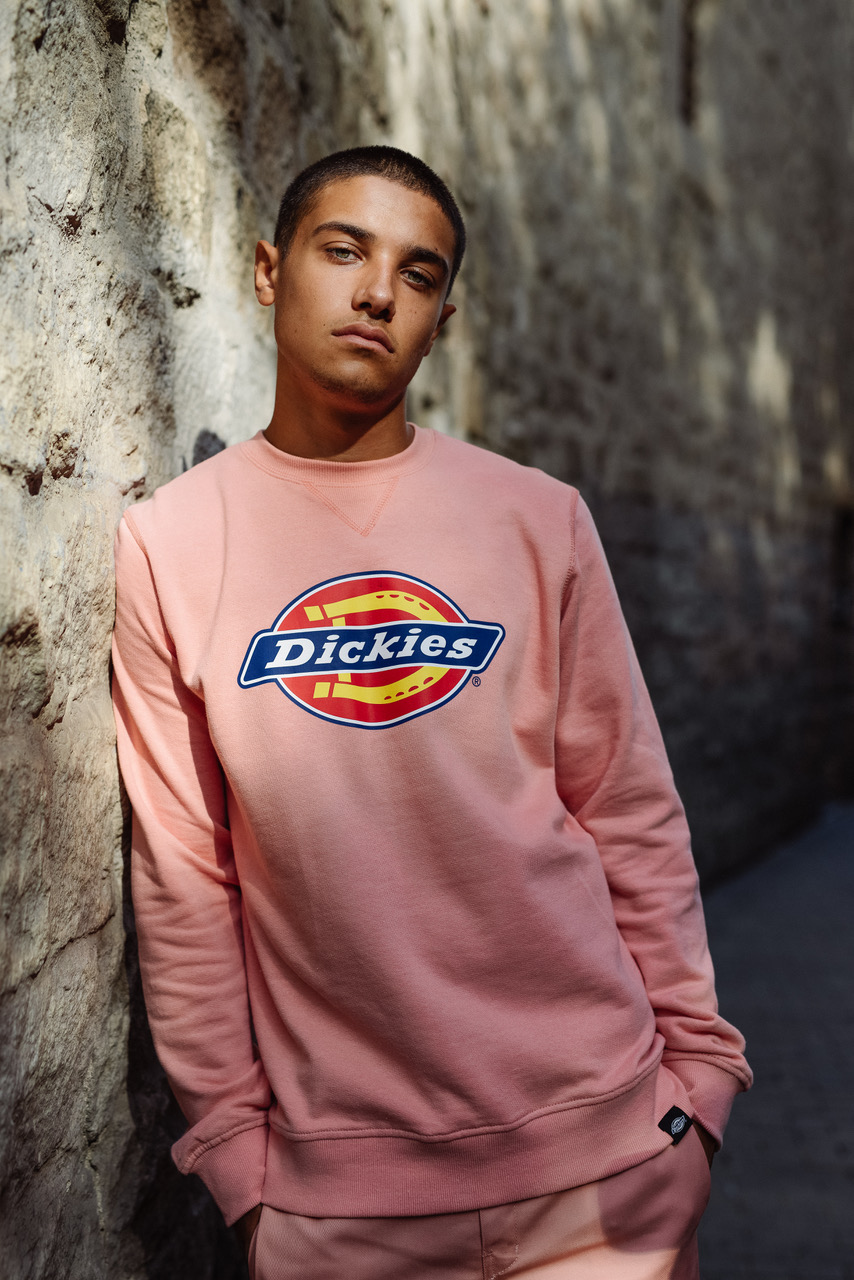 Dickies Lookbook. Dickies лукбук. Знаменитости в Dickies.