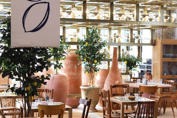 52593556_153578898994389_3751121068602487519_n