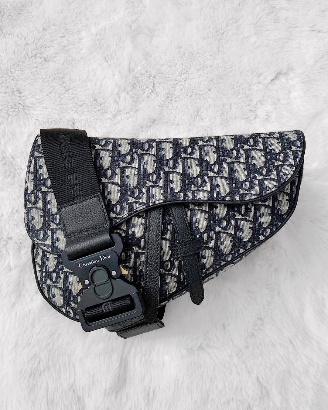 PAUSE or Skip: Dior Oblique Saddle Bag