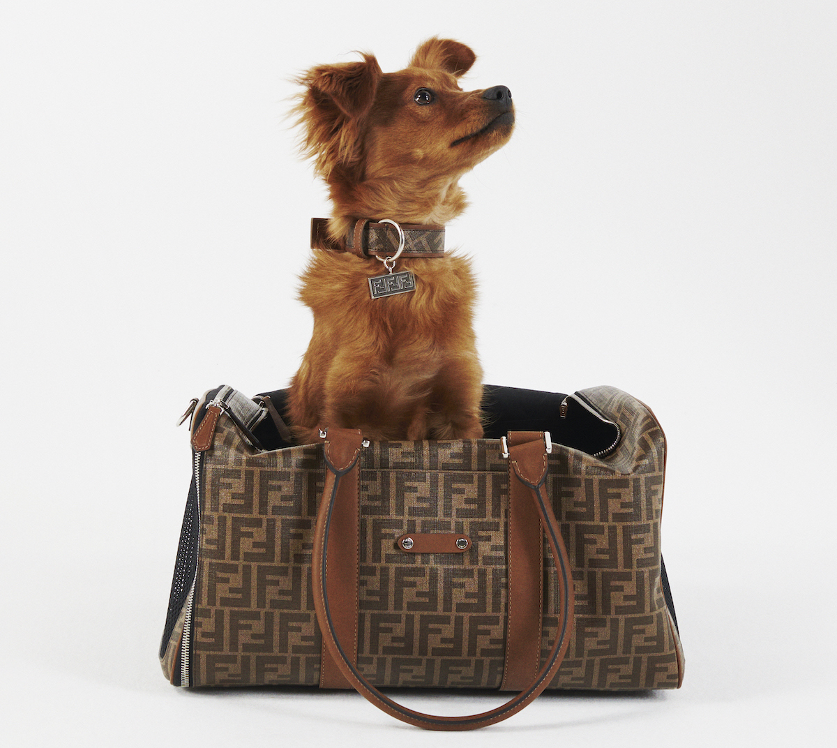 Fendi Unveil Monogram-Laden Pet Travel Collection