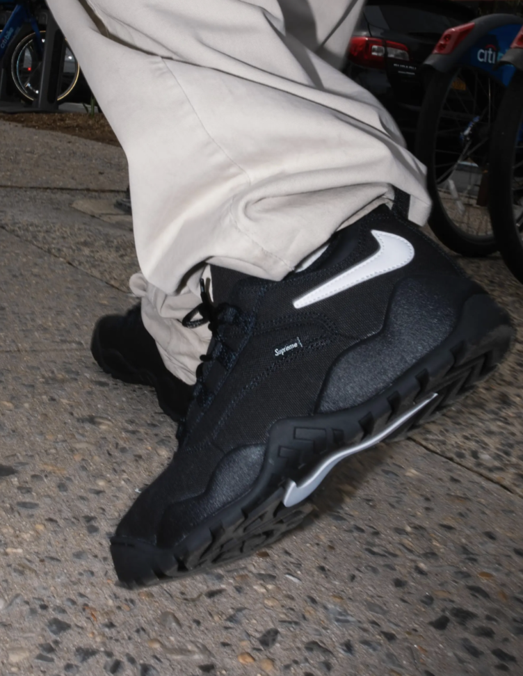 Supreme/Nike SB Darwin Low ブラック - 靴