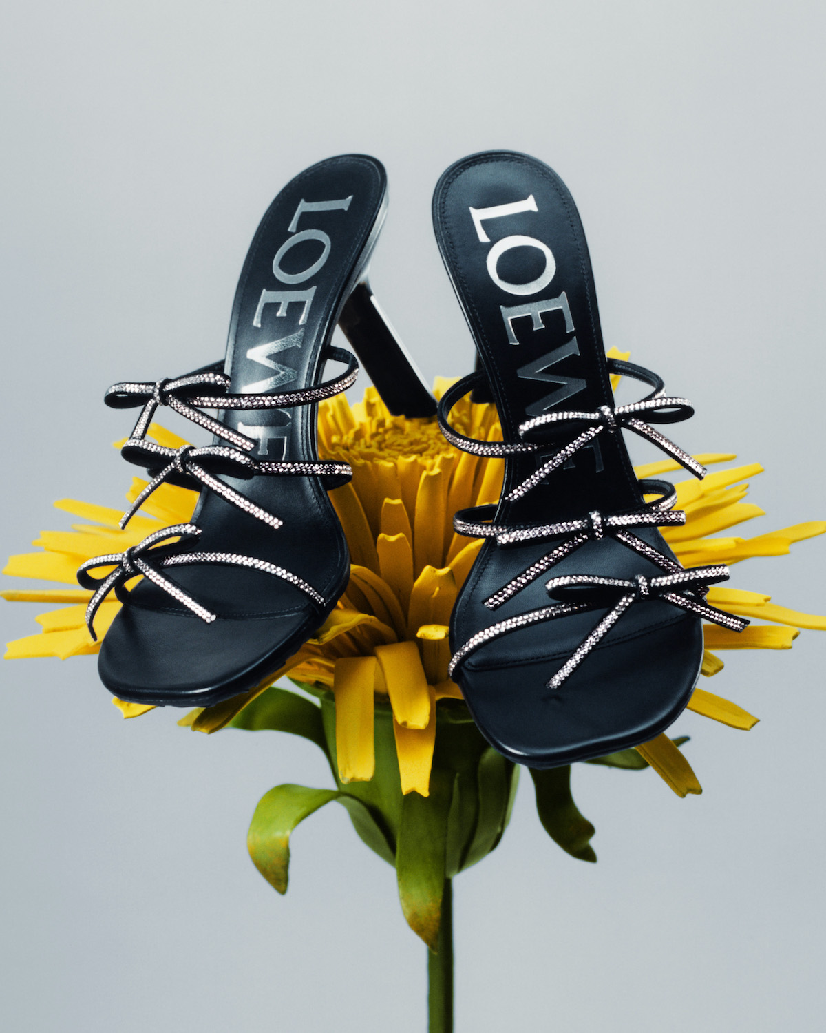 LOEWE_SS25_PRECO_GIFTING_CAMPAIGN_SUNA_FUJITA_RGB_CROPPED_4X5_27